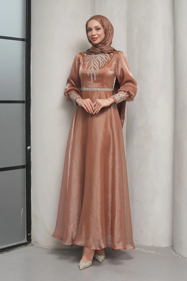 Koyuv Vizon Önü Taşlı Abiye